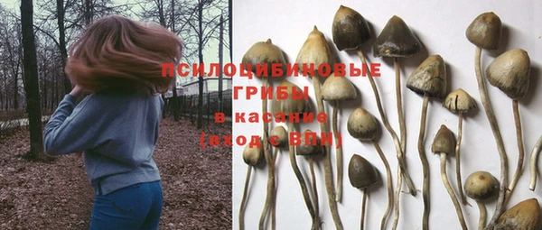 сатива Алексеевка