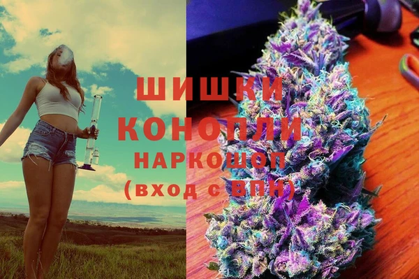 прущие грибы Алексин