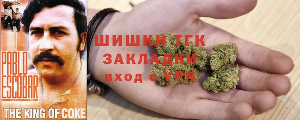 сатива Алексеевка