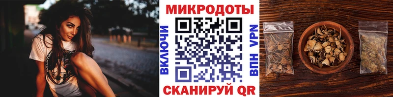 Псилоцибиновые грибы мицелий купить сайты Сосновоборск